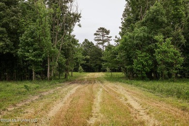 Land for sale in Amite County, MS. This beautiful 161-acre tract - photo 6