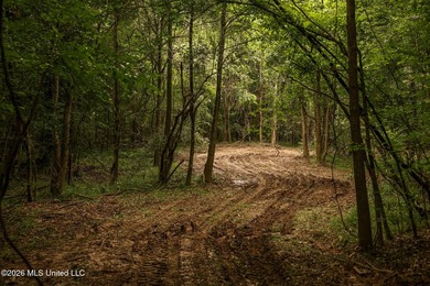 Land for sale in Amite County, MS. This beautiful 161-acre tract - photo 7