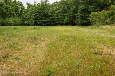 Land for sale in Amite County, MS. This beautiful 161-acre tract - photo 9
