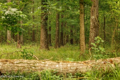 Land for sale in Amite County, MS. This beautiful 161-acre tract - photo 10