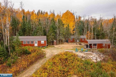 Lake Home For Sale in Cook, Minnesota
