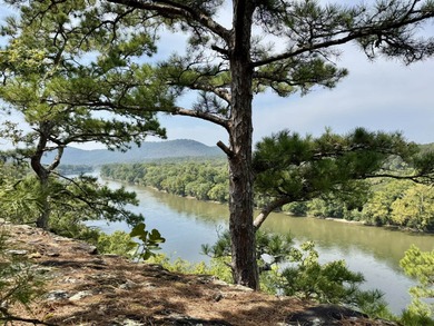 White River - Izard County Acreage For Sale in Melbourne Arkansas