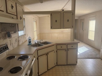 Owner financing available!Welcome to this inviting 784sqft - photo 4