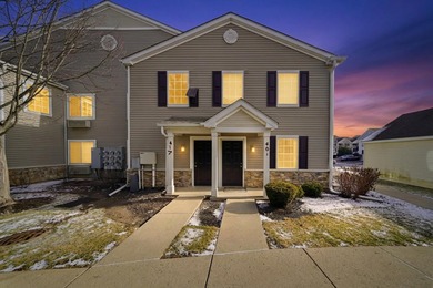 Silverstone Lake Condo For Sale in Carpentersville Illinois