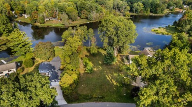 Dickerson Lake Lot For Sale in Stanton Michigan