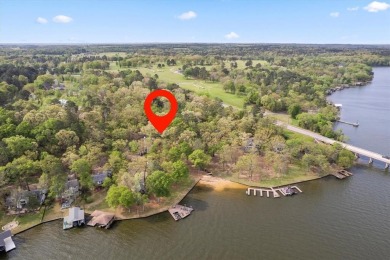 Lakeside Serenity at Lake Cypress Springs!

Discover your - photo 11