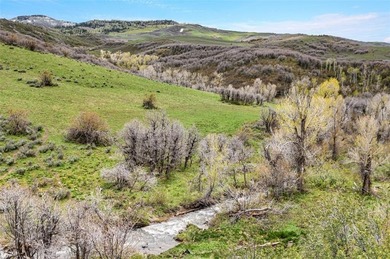 (private lake, pond, creek) Acreage For Sale in Hayden Colorado