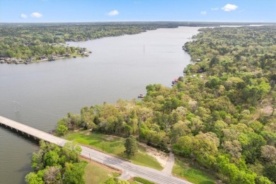 Lakeside Serenity at Lake Cypress Springs!

Discover your - photo 12