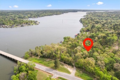 Lakeside Serenity at Lake Cypress Springs!

Discover your - photo 13