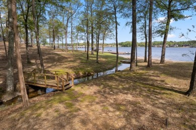 Lakeside Serenity at Lake Cypress Springs!

Discover your - photo 14