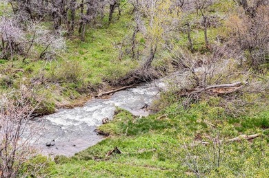 Immerse yourself in the untouched beauty of Hayden, Colorado - photo 4