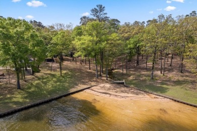 Lakeside Serenity at Lake Cypress Springs!

Discover your - photo 15