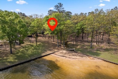 Lakeside Serenity at Lake Cypress Springs!

Discover your - photo 16