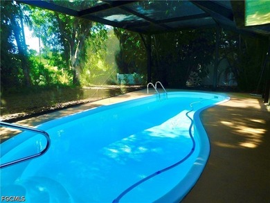 Imagine sitting by the pool of your 3-bedroom home, enjoying the - photo 17