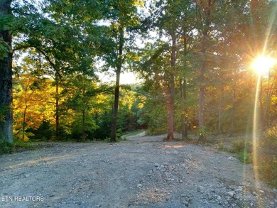 Private 10.13 acre parcel tucked away with proximity to town - photo 3