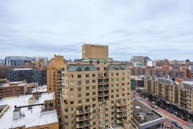 Perched high above the vibrant heart of Flushing, this elegant - photo 33