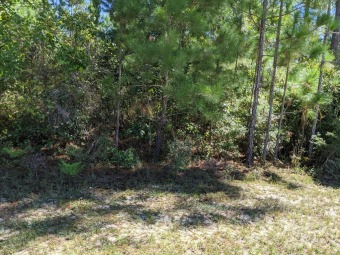 Build your dream home in the incredible McCord's Ferry at Lake SO - Lake Lot SOLD! in Elloree, South Carolina