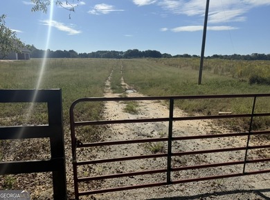 (private lake, pond, creek) Acreage For Sale in Griffin Georgia