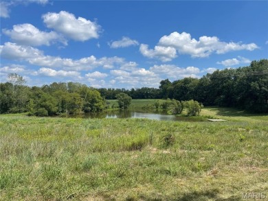 (private lake, pond, creek) Acreage For Sale in Marshall Missouri