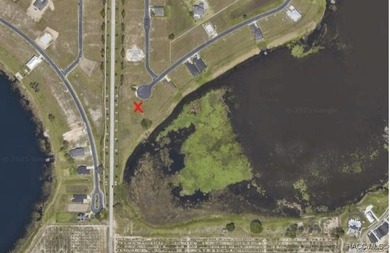 Lake Alfred Lot For Sale in Lake Alfred Florida