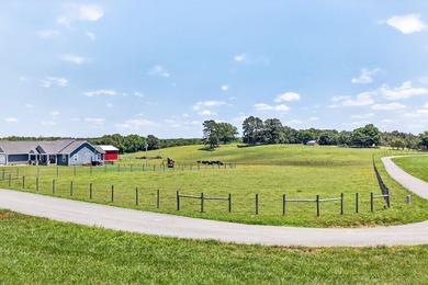 Beautiful 23-acre working cattle farm with fenced and - photo 12