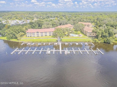 Lake Condo For Sale in Welaka, Florida