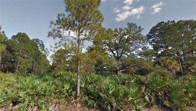 Lehigh Acres Area Lot For Sale in Lehigh Acres Florida