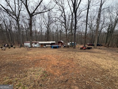 (private lake, pond, coastal) Home For Sale in Douglasville Georgia