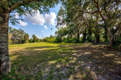 PRIME WATERFRONT Opportunity in Ruskin - Residential or - photo 33
