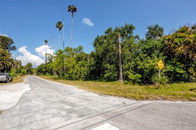 PRIME WATERFRONT Opportunity in Ruskin - Residential or - photo 45