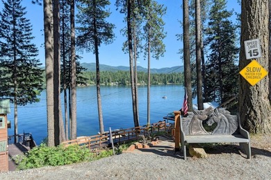 Over 200 feet of Hayden Lake frontage on the coveted close side - photo 49