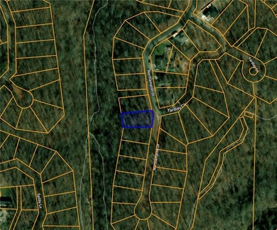 Located on the East side of Bella Vista, 10 minutes from Town - photo 2