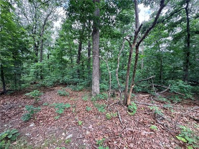 Located on the East side of Bella Vista, 10 minutes from Town - photo 6