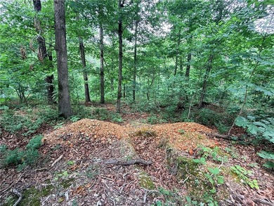 Located on the East side of Bella Vista, 10 minutes from Town - photo 7