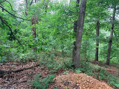 Located on the East side of Bella Vista, 10 minutes from Town - photo 8
