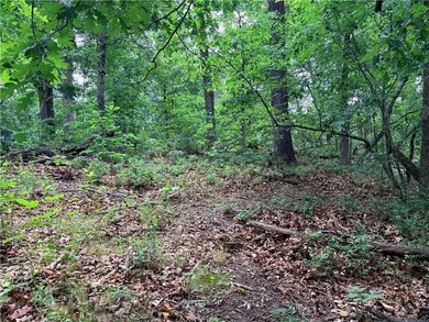 Located on the East side of Bella Vista, 10 minutes from Town - photo 9