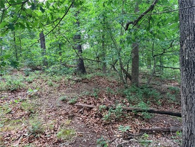 Located on the East side of Bella Vista, 10 minutes from Town - photo 10