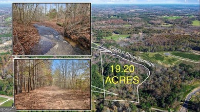 Lake Acreage For Sale in Covington, Georgia