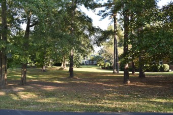 Lake Marion Lot For Sale in Manning South Carolina