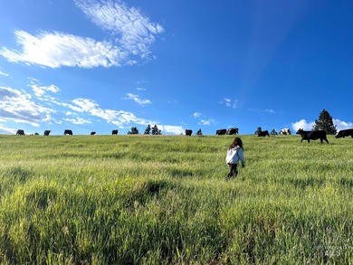 On the edge of Kendrick, Idaho, this private 713+ acre property - photo 23