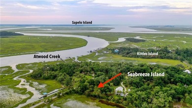 Spacious 1.03 acre marsh front lot located on Seabreeze Island - photo 1