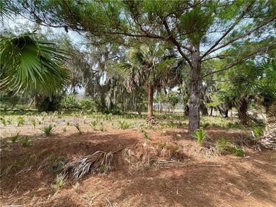 Spacious 1.03 acre marsh front lot located on Seabreeze Island - photo 2