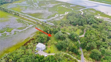 Spacious 1.03 acre marsh front lot located on Seabreeze Island - photo 6