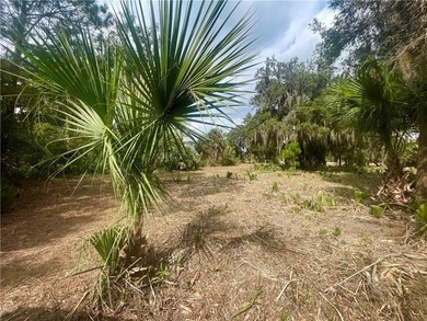 Spacious 1.03 acre marsh front lot located on Seabreeze Island - photo 7