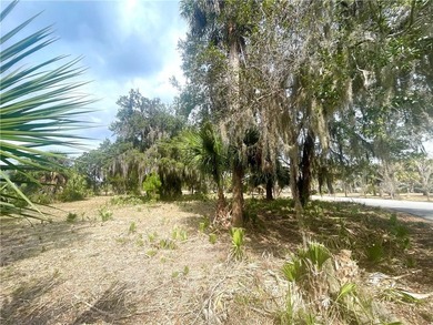 Spacious 1.03 acre marsh front lot located on Seabreeze Island - photo 8