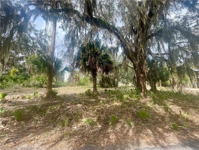 Spacious 1.03 acre marsh front lot located on Seabreeze Island - photo 10