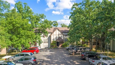 Experience the best of Lake of the Ozarks in this spacious - photo 49