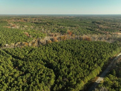 Strom Thurmond / Clarks Hill Lake Acreage For Sale in Lincolnton Georgia