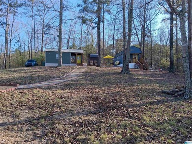 LAKE VIEW RETREAT WITH TINY HOMES, WATER ACCESS &UNLIMITED - photo 4