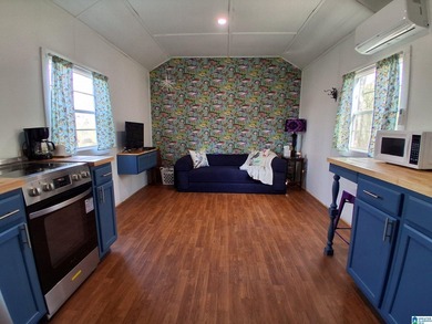 LAKE VIEW RETREAT WITH TINY HOMES, WATER ACCESS &UNLIMITED - photo 6